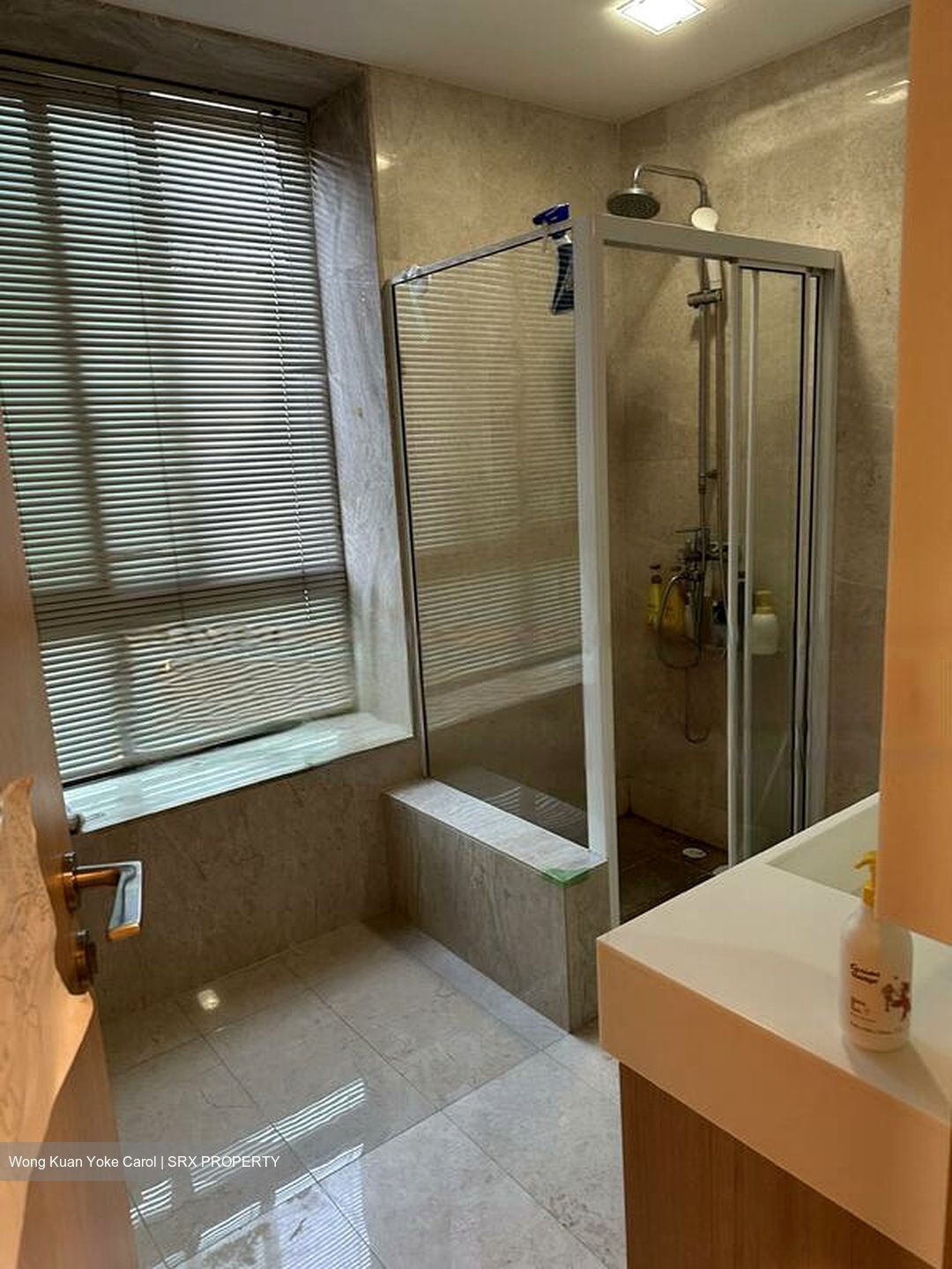 Parc Palais (D21), Condominium #483256401